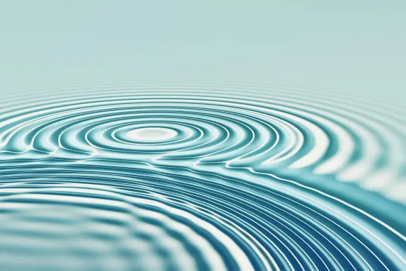 카지노 미스터 스핀 지원